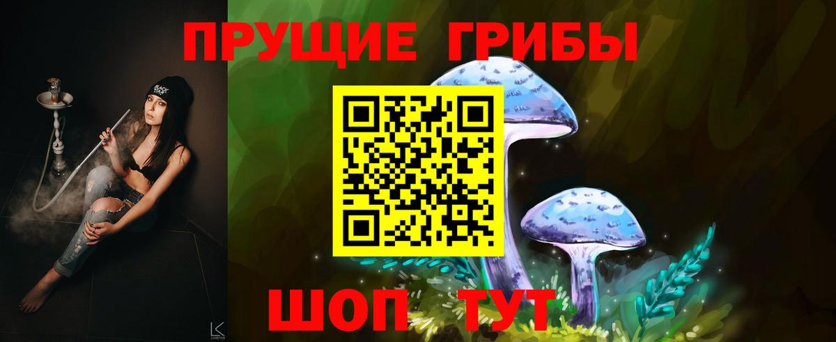 Муравленко  где продают наркотики  Вход с VPN  Псилоцибиновые грибы мицелий 