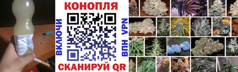 Бошки марихуана индика  Муравленко 