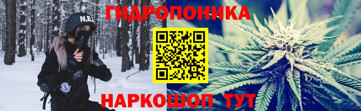 Бошки Шишки семена Муравленко